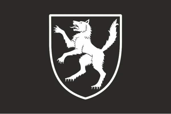 Флаг 50 ОМБр (отдельная механизированная бригада) ВСУ. Вариант-09