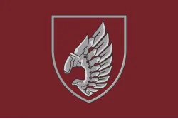Прапор 237 ОББпС (окремий батальйон безпілотних систем) «Iron Birds» ДШВ ЗСУ. Варіант-03 Прапор 237 ОББпС (окремий батальйон безпілотних систем) «Iron Birds» ДШВ ЗСУ. Варіант-03