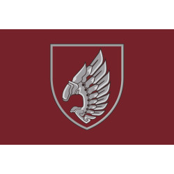 Флаг 237 ОББпС (отдельный батальон беспилотных систем) «Iron Birds» ДШВ ВСУ. Вариант-03 Флаг 237 ОББпС (отдельный батальон беспилотных систем) «Iron Birds» ДШВ ВСУ. Вариант-03