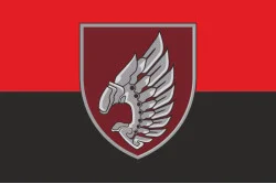 Прапор 237 ОББпС (окремий батальйон безпілотних систем) «Iron Birds» ДШВ ЗСУ. Варіант-09 Прапор 237 ОББпС (окремий батальйон безпілотних систем) «Iron Birds» ДШВ ЗСУ. Варіант-09