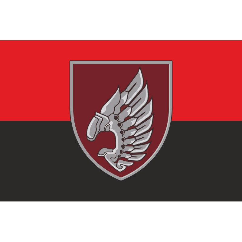 Флаг 237 ОББпС (отдельный батальон беспилотных систем) «Iron Birds» ДШВ ВСУ. Вариант-09 Флаг 237 ОББпС (отдельный батальон беспилотных систем) «Iron Birds» ДШВ ВСУ. Вариант-09