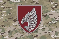 Прапор 237 ОББпС (окремий батальйон безпілотних систем) «Iron Birds» ДШВ ЗСУ. Варіант-13 Прапор 237 ОББпС (окремий батальйон безпілотних систем) «Iron Birds» ДШВ ЗСУ. Варіант-13
