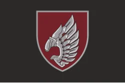 Прапор 237 ОББпС (окремий батальйон безпілотних систем) «Iron Birds» ДШВ ЗСУ. Варіант-15 Прапор 237 ОББпС (окремий батальйон безпілотних систем) «Iron Birds» ДШВ ЗСУ. Варіант-15