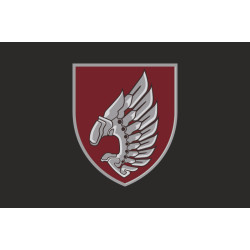 Флаг 237 ОББпС (отдельный батальон беспилотных систем) «Iron Birds» ДШВ ВСУ. Вариант-15 Флаг 237 ОББпС (отдельный батальон беспилотных систем) «Iron Birds» ДШВ ВСУ. Вариант-15