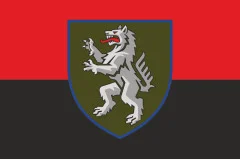 Флаг 50 ОМБр (отдельная механизированная бригада) ВСУ. Вариант-12