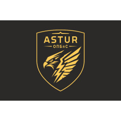 Прапор 420 ОПБпС (окремий полк безпілотних систем) ЗСУ «ASTUR». Варіант-05 Прапор 420 ОПБпС (окремий полк безпілотних систем) ЗСУ «ASTUR». Варіант-05