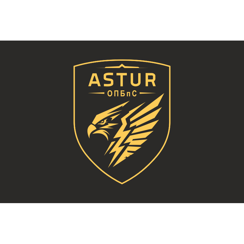 Прапор 420 ОПБпС (окремий полк безпілотних систем) ЗСУ «ASTUR». Варіант-05 Прапор 420 ОПБпС (окремий полк безпілотних систем) ЗСУ «ASTUR». Варіант-05