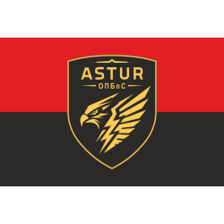 Прапор 420 ОПБпС (окремий полк безпілотних систем) ЗСУ «ASTUR». Варіант-10 Прапор 420 ОПБпС (окремий полк безпілотних систем) ЗСУ «ASTUR». Варіант-10