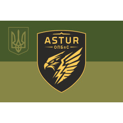Прапор 420 ОПБпС (окремий полк безпілотних систем) ЗСУ «ASTUR». Варіант-13 Прапор 420 ОПБпС (окремий полк безпілотних систем) ЗСУ «ASTUR». Варіант-13