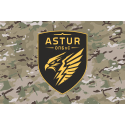Прапор 420 ОПБпС (окремий полк безпілотних систем) ЗСУ «ASTUR». Варіант-14 Прапор 420 ОПБпС (окремий полк безпілотних систем) ЗСУ «ASTUR». Варіант-14