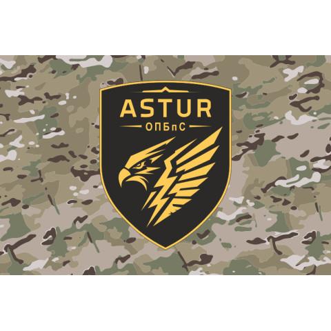 Прапор 420 ОПБпС (окремий полк безпілотних систем) ЗСУ «ASTUR». Варіант-14 Прапор 420 ОПБпС (окремий полк безпілотних систем) ЗСУ «ASTUR». Варіант-14
