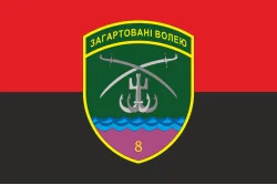Флаг 8 Бердянского пограничного отряда ГНСУ. Вариант-07