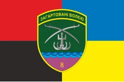 Флаг 8 Бердянского пограничного отряда ГНСУ. Вариант-09