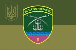 Флаг 8 Бердянского пограничного отряда ГНСУ. Вариант-10