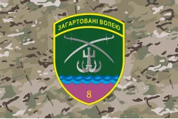 Флаг 8 Бердянского пограничного отряда ГНСУ. Вариант-11
