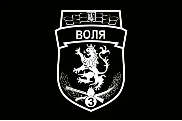 Флаг 3 БТрО (батальон территориальной обороны) ВСУ «ВОЛЯ». Вариант-03