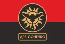 Прапор ДРБ (добровольчий розвідувальний батальйон) «Сонечко» ЗСУ. Варіант-02