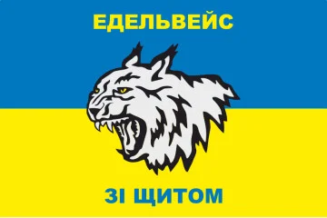 Флаг 108 ОГШБ (отдельный горно-штурмовой батальон) 10 ОГШБр ВСУ. Вариант-19 Флаг 108 ОГШБ (отдельный горно-штурмовой батальон) 10 ОГШБр ВСУ. Вариант-19
