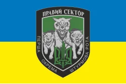 Флаг 1 ОШР (первая отдельная штурмовая рота) ДУК ПС. Вариант-01