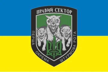 Прапор 1 ОШР (перша окрема штурмова рота) ДУК ПС. Варіант-01 Прапор 1 ОШР (перша окрема штурмова рота) ДУК ПС. Варіант-01