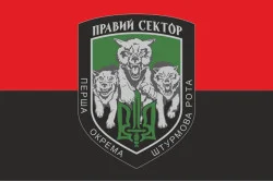 Флаг 1 ОШР (первая отдельная штурмовая рота) ДУК ПС. Вариант-02