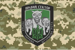 Флаг 1 ОШР (первая отдельная штурмовая рота) ДУК ПС. Вариант-03
