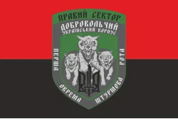 Флаг 1 ОШР (первая отдельная штурмовая рота) ДУК ПС. Вариант-05