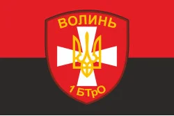 Флаг 1 БТрО (батальон территориальной обороны) «Волынь» ВСУ. Вариант-02 Флаг 1 БТрО (батальон территориальной обороны) «Волынь» ВСУ. Вариант-02