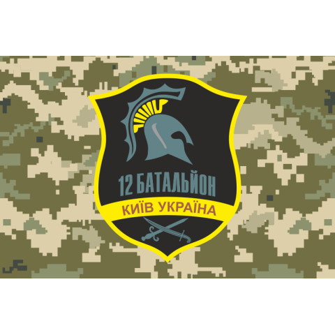 Прапор 12 БТрО (батальйон територіальної оборони) «Київ» ЗСУ. Варіант-11
