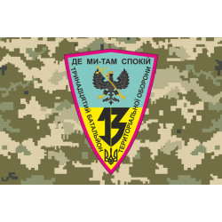 Флаг 13 БТрО (батальон территориальной обороны) ВСУ «Чернигов-1». Вариант-03 Флаг 13 БТрО (батальон территориальной обороны) ВСУ «Чернигов-1». Вариант-03