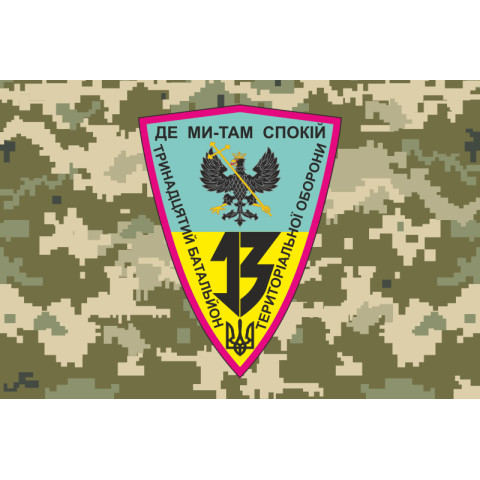 Флаг 13 БТрО (батальон территориальной обороны) ВСУ «Чернигов-1». Вариант-03