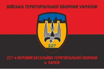 Прапор 227 ОБТрО (окремий батальйон Територіальної оборони) ЗСУ. Варіант-05
