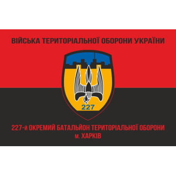 Флаг 227 ОБТрО (отдельный батальон Территориальной обороны) ВСУ. Вариант-05