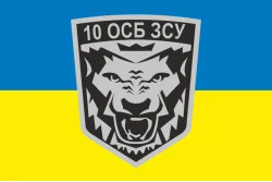 Прапор 10 ОСБ (окремий стрілецький батальйон) ЗСУ. Варіант-01