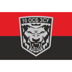 Флаг 10 ОСБ (отдельный стрелковый батальон) ВСУ. Вариант-03