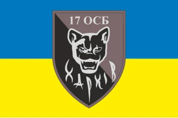 Флаг 17 ОСБ (отдельный стрелковый батальон) ВСУ. Вариант-01