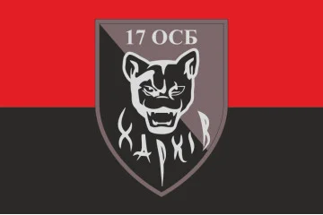 Флаг 17 ОСБ (отдельный стрелковый батальон) ВСУ. Вариант-03