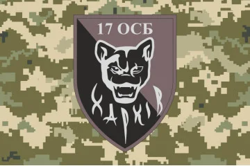 Флаг 17 ОСБ (отдельный стрелковый батальон) ВСУ. Вариант-05