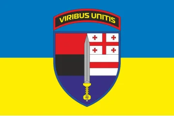 Флаг 2 батальона Интернационального легиона Украины. Вариант-01