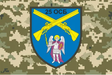 Флаг 25 ОСБ (отдельный стрелковый батальон) ВСУ. Вариант-05 Флаг 25 ОСБ (отдельный стрелковый батальон) ВСУ. Вариант-05