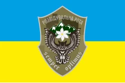 Прапор 10 ОГШБр (окрема гірсько-штурмова бригада) ВСУ, розвідрота. Варіант-01
