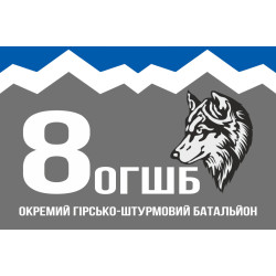 Прапор 8 ОГШБ (окремий гірсько-штурмовий батальйон) 10 ОГШБр ЗСУ. Варіант-07