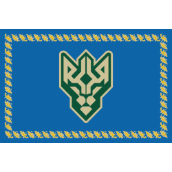 Прапор 1 БОП (батальйон оперативного призначення) НГУ. Варіант-02 Прапор 1 БОП (батальйон оперативного призначення) НГУ. Варіант-02