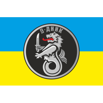 Флаг 9 ДнНК (дивизион надводных кораблей) ВМС Украины. Вариант-02
