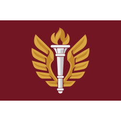 Прапор 199 НЦ (навчальний центр) ДШВ ЗСУ. Варіант-05 Прапор 199 НЦ (навчальний центр) ДШВ ЗСУ. Варіант-05