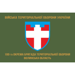 Флаг 100 ОБрТрО ВСУ (отдельная бригада территориальной обороны). Вариант-04