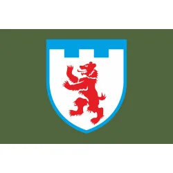 Прапор 101 ОБрТрО ЗСУ (окрема бригада територіальної оборони). Варіант-03 Прапор 101 ОБрТрО ЗСУ (окрема бригада територіальної оборони). Варіант-03