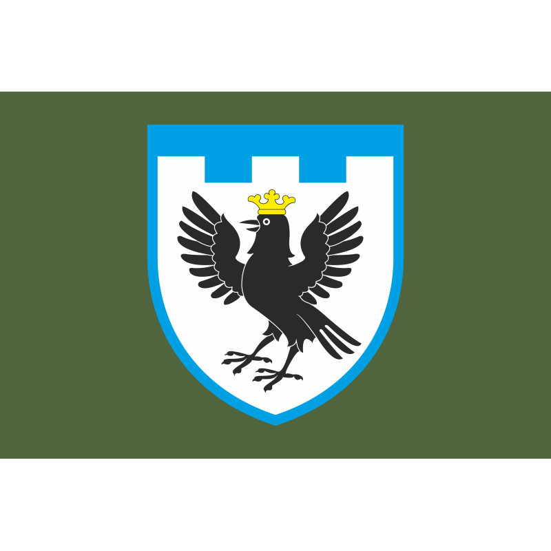 Прапор 102 ОБрТрО ЗСУ (окрема бригада територіальної оборони). Варіант-03 Прапор 102 ОБрТрО ЗСУ (окрема бригада територіальної оборони). Варіант-03