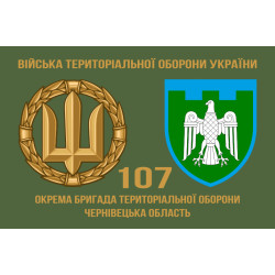 Прапор 107 ОБрТрО ЗСУ (окрема бригада територіальної оборони). Варіант-02