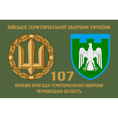 Прапор 107 ОБрТрО ЗСУ (окрема бригада територіальної оборони). Варіант-02